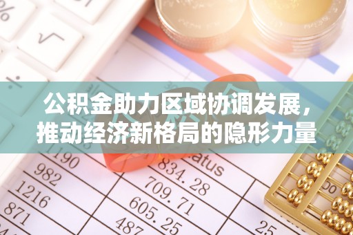 双柏公积金助力区域协调发展，推动经济新格局的隐形力量