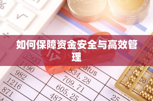 双柏如何保障资金安全与高效管理