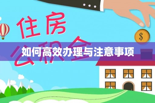 双柏如何高效办理与注意事项