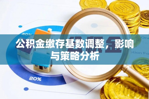 双柏公积金缴存基数调整，影响与策略分析