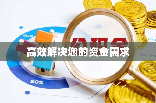 双柏高效解决您的资金需求