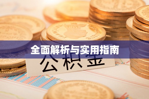 双柏全面解析与实用指南