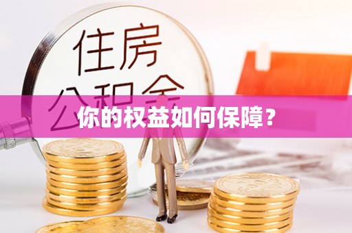 双柏你的权益如何保障？