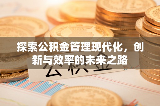 双柏探索公积金管理现代化，创新与效率的未来之路