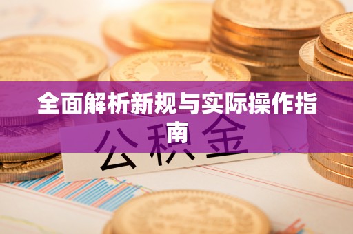 双柏全面解析新规与实际操作指南
