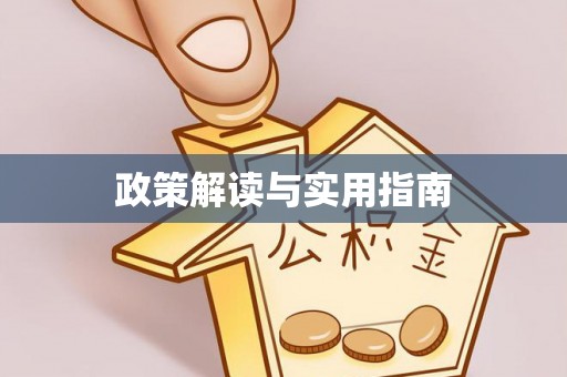双柏政策解读与实用指南
