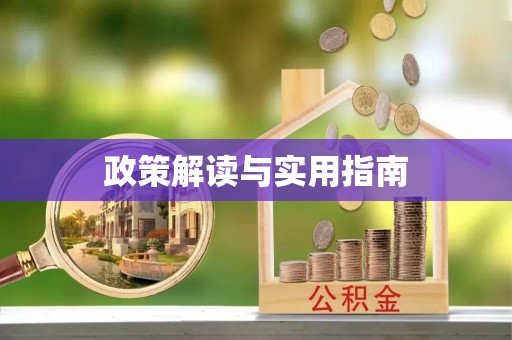 双柏政策解读与实用指南