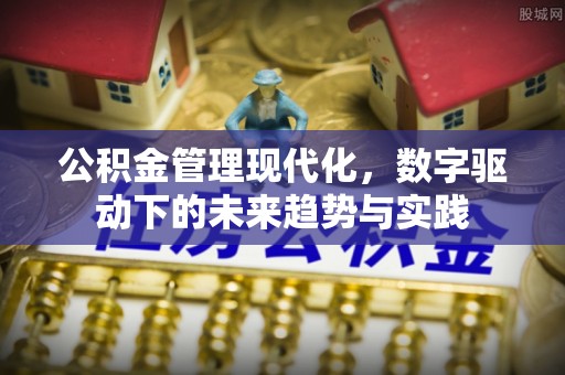 双柏公积金管理现代化，数字驱动下的未来趋势与实践