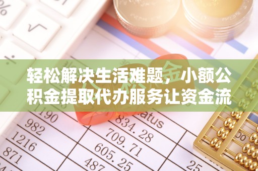双柏轻松解决生活难题，小额公积金提取代办服务让资金流动更便捷