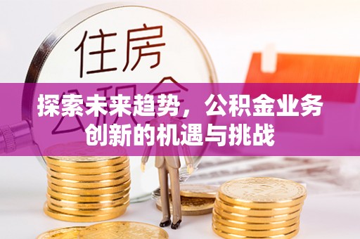 双柏探索未来趋势，公积金业务创新的机遇与挑战