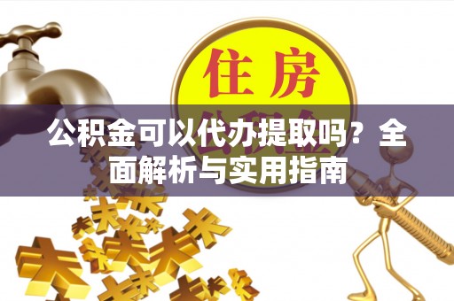 双柏公积金可以代办提取吗？全面解析与实用指南