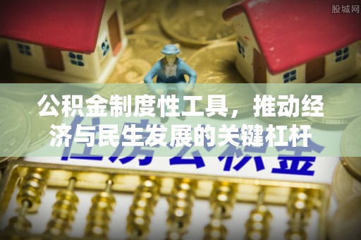 双柏公积金制度性工具，推动经济与民生发展的关键杠杆