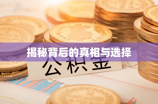 双柏揭秘背后的真相与选择