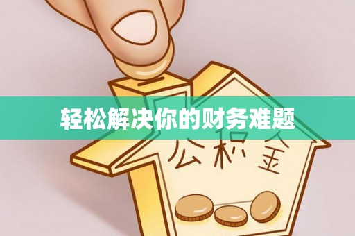 双柏轻松解决你的财务难题