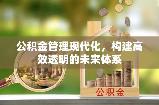 双柏公积金管理现代化，构建高效透明的未来体系