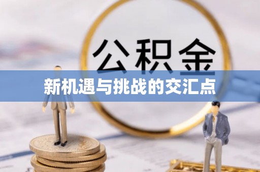 双柏新机遇与挑战的交汇点