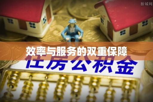 双柏效率与服务的双重保障