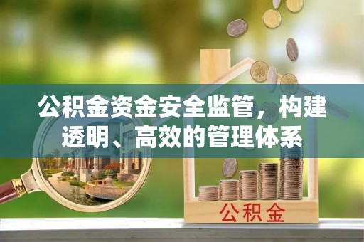 双柏公积金资金安全监管，构建透明、高效的管理体系