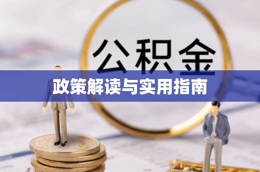 双柏政策解读与实用指南