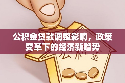 双柏公积金贷款调整影响，政策变革下的经济新趋势