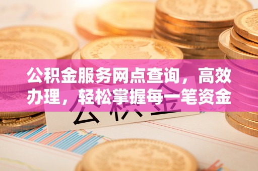 双柏公积金服务网点查询，高效办理，轻松掌握每一笔资金动态