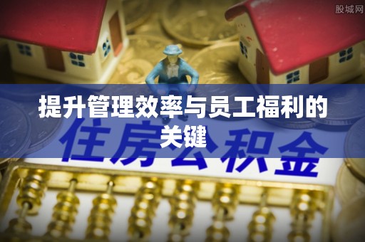 双柏提升管理效率与员工福利的关键