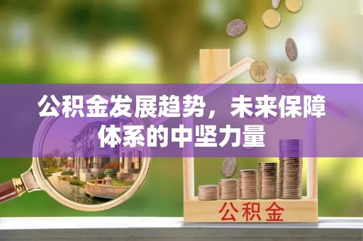 双柏公积金发展趋势，未来保障体系的中坚力量