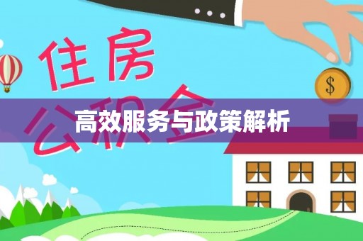 双柏高效服务与政策解析