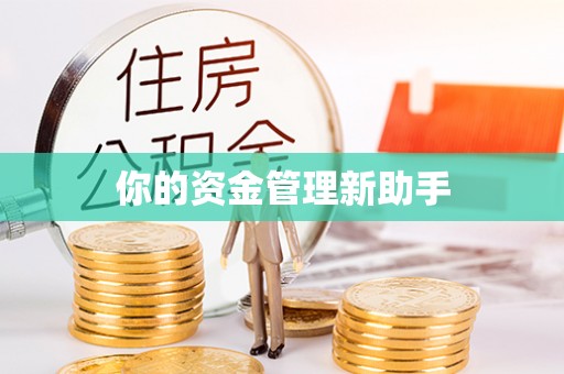 双柏你的资金管理新助手