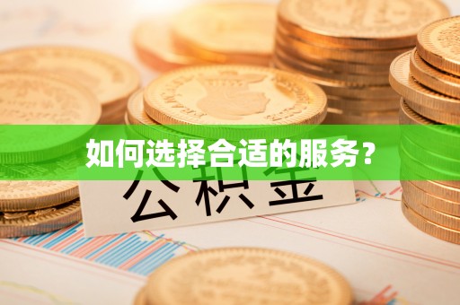 双柏如何选择合适的服务？