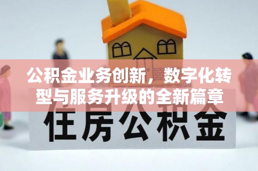双柏公积金业务创新，数字化转型与服务升级的全新篇章