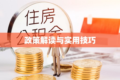 双柏政策解读与实用技巧