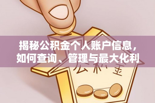 双柏揭秘公积金个人账户信息，如何查询、管理与最大化利用
