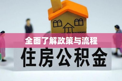 双柏全面了解政策与流程