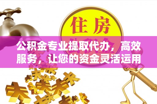 双柏公积金专业提取代办，高效服务，让您的资金灵活运用
