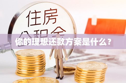 双柏你的理想还款方案是什么？