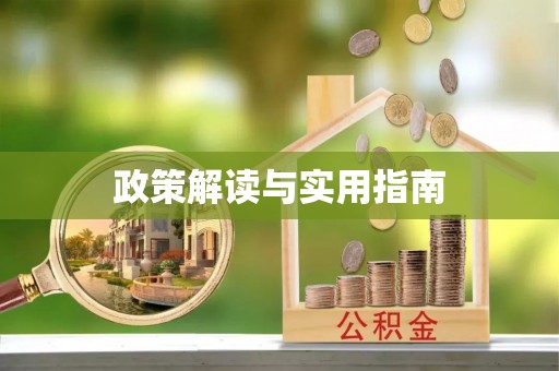 双柏政策解读与实用指南