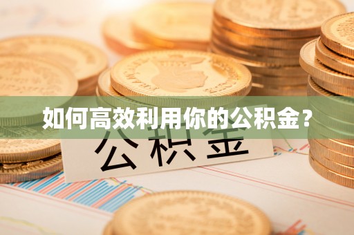 双柏如何高效利用你的公积金？