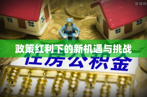 双柏政策红利下的新机遇与挑战