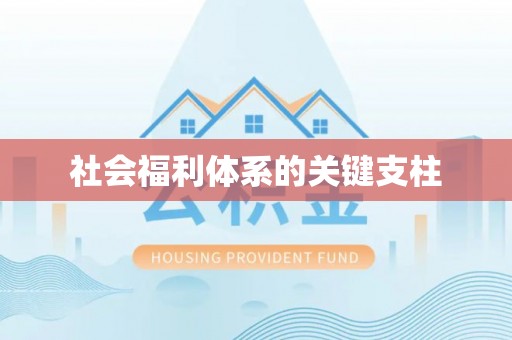 双柏社会福利体系的关键支柱