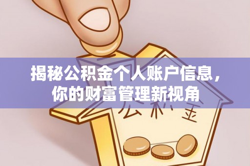 双柏揭秘公积金个人账户信息，你的财富管理新视角