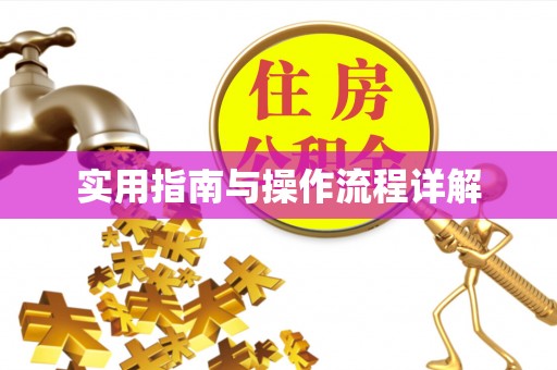 双柏实用指南与操作流程详解