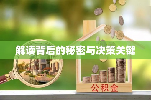 双柏解读背后的秘密与决策关键