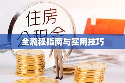 双柏全流程指南与实用技巧