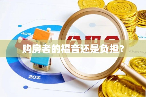 双柏购房者的福音还是负担？