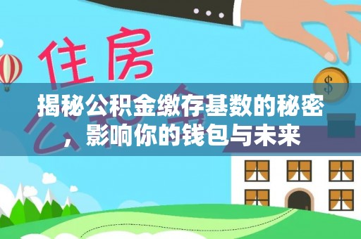 双柏揭秘公积金缴存基数的秘密，影响你的钱包与未来