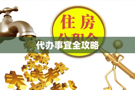 双柏代办事宜全攻略
