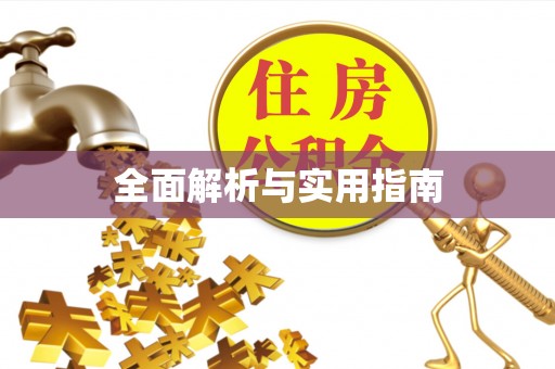 双柏全面解析与实用指南