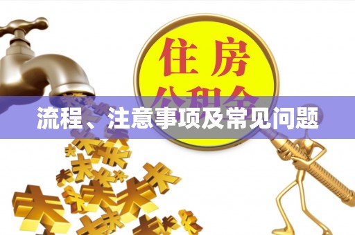 双柏流程、注意事项及常见问题
