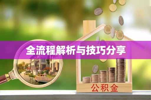双柏全流程解析与技巧分享